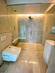 The Scotts Tower (D9), Condominium #619448511